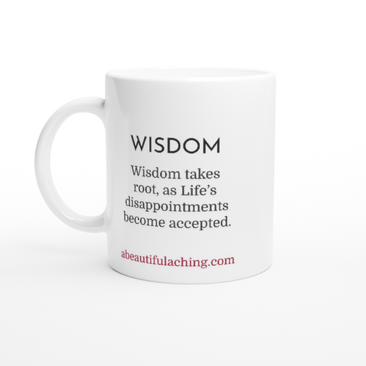 Wisdom Retrospect Mug